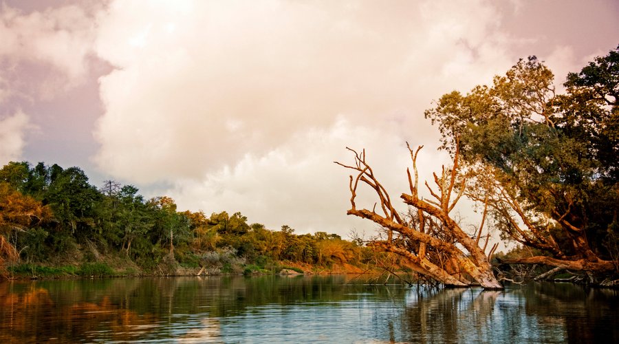 The beautiful Daly River