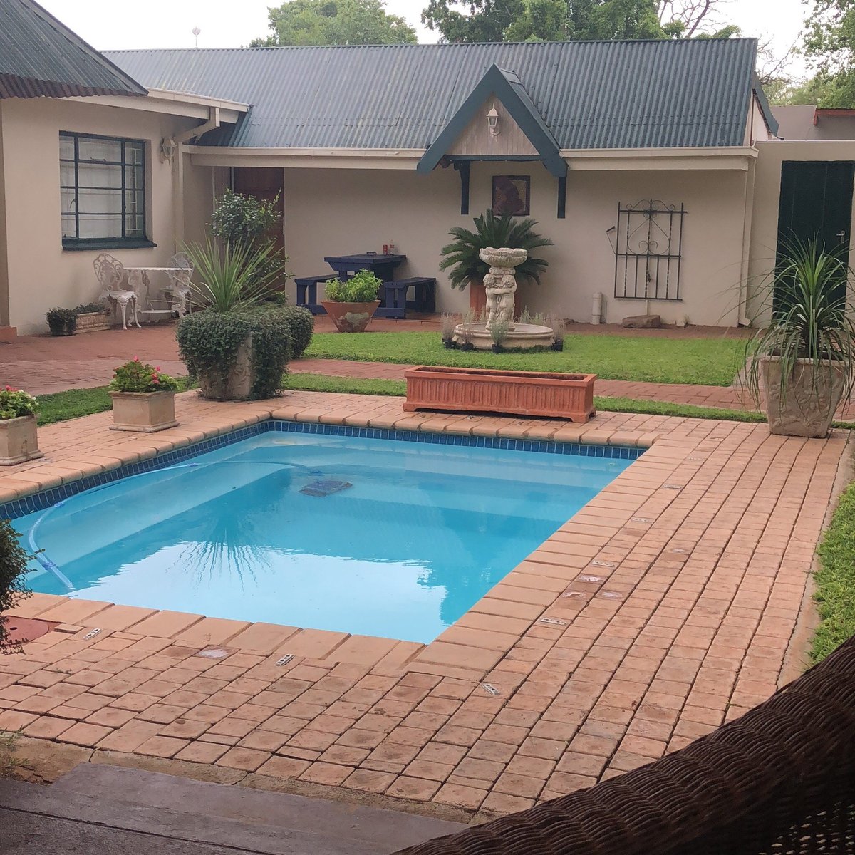 BIG TREE GUESTHOUSE - Prices & Lodge Reviews (Brits, South Africa)