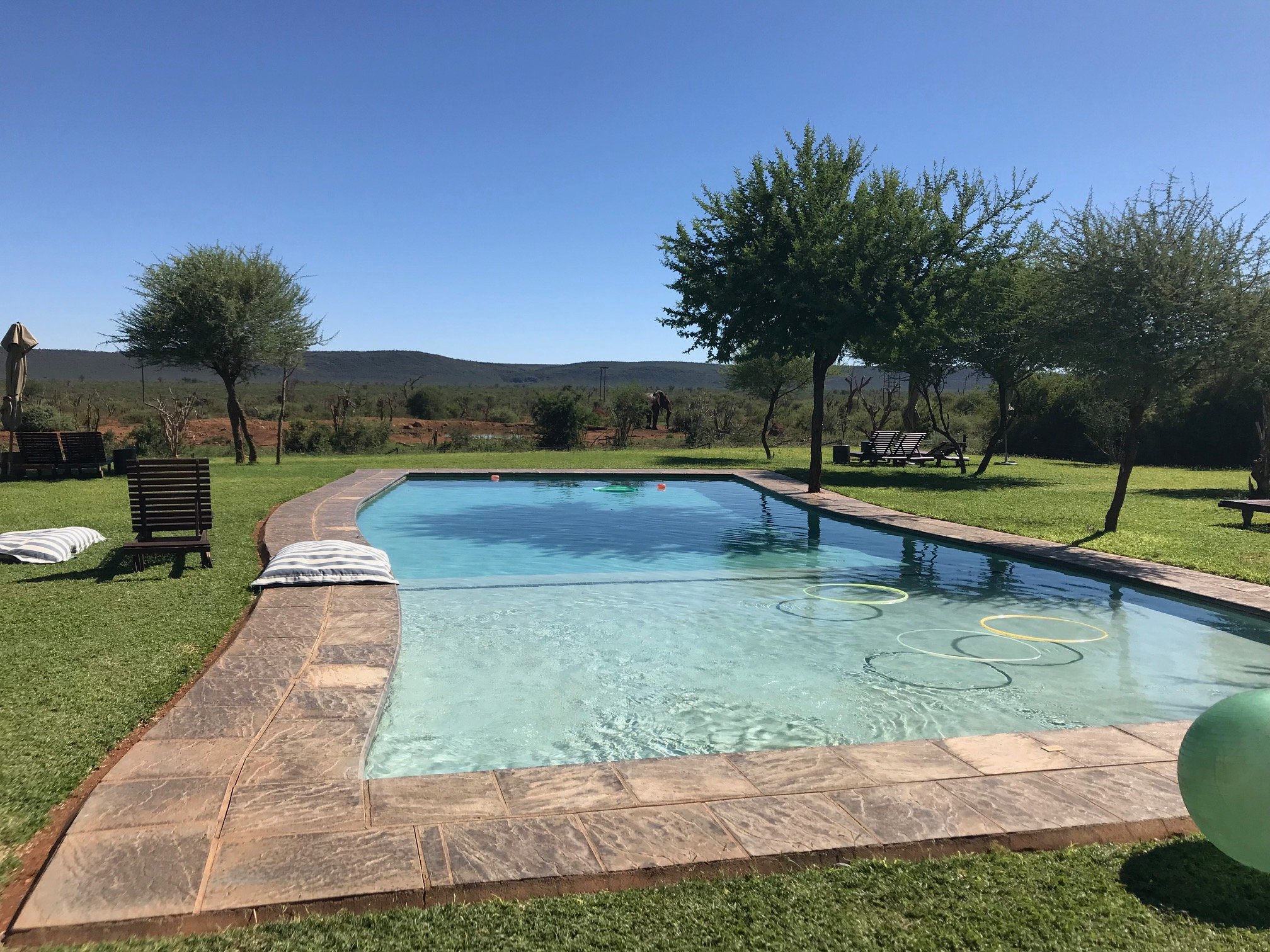 Madikwe Safari Lodge Pool Pictures Reviews Tripadvisor   Madikwe Safari Lodge 