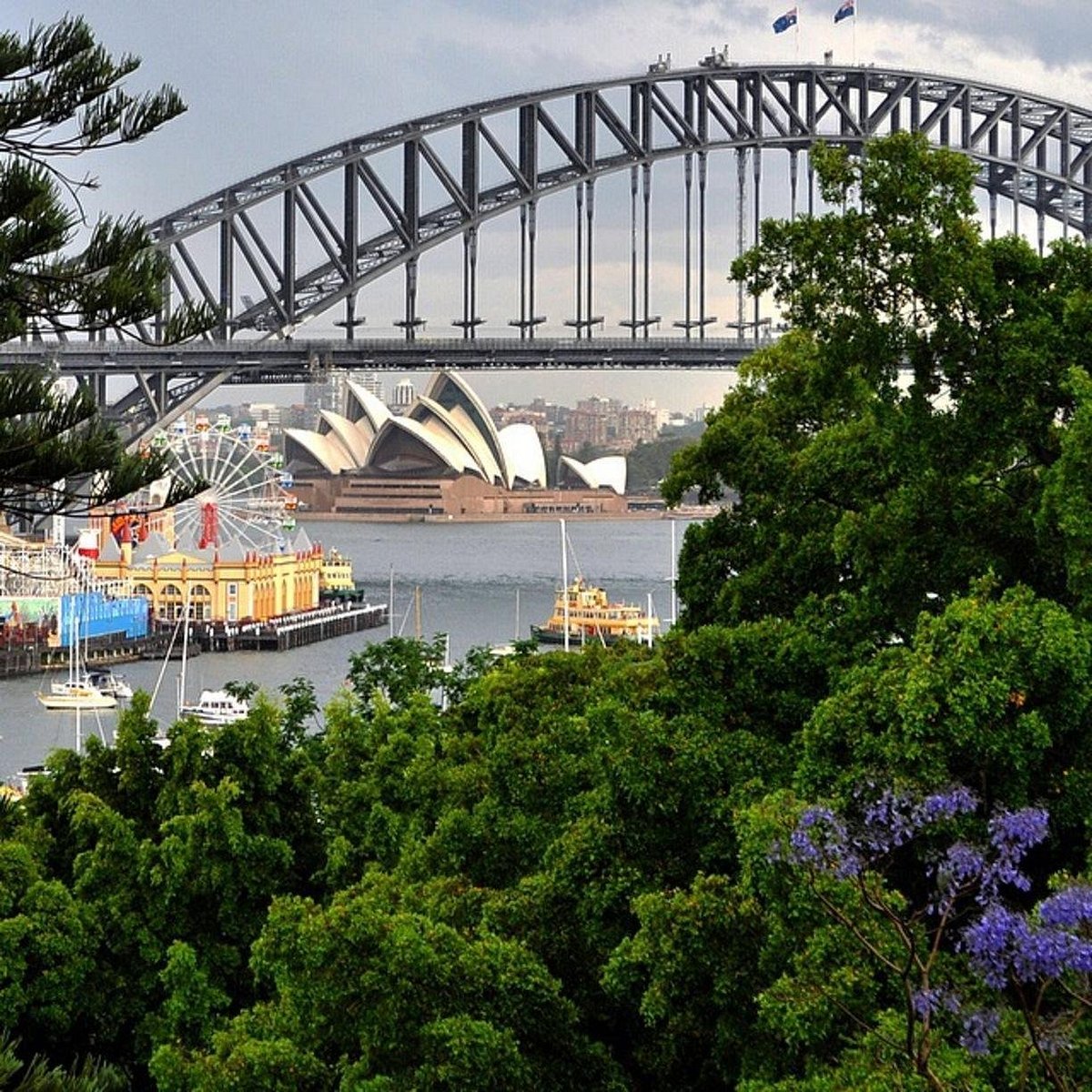 Sydney's. Сидней 0,9. St George а Сиднее. Folly point Sydney.