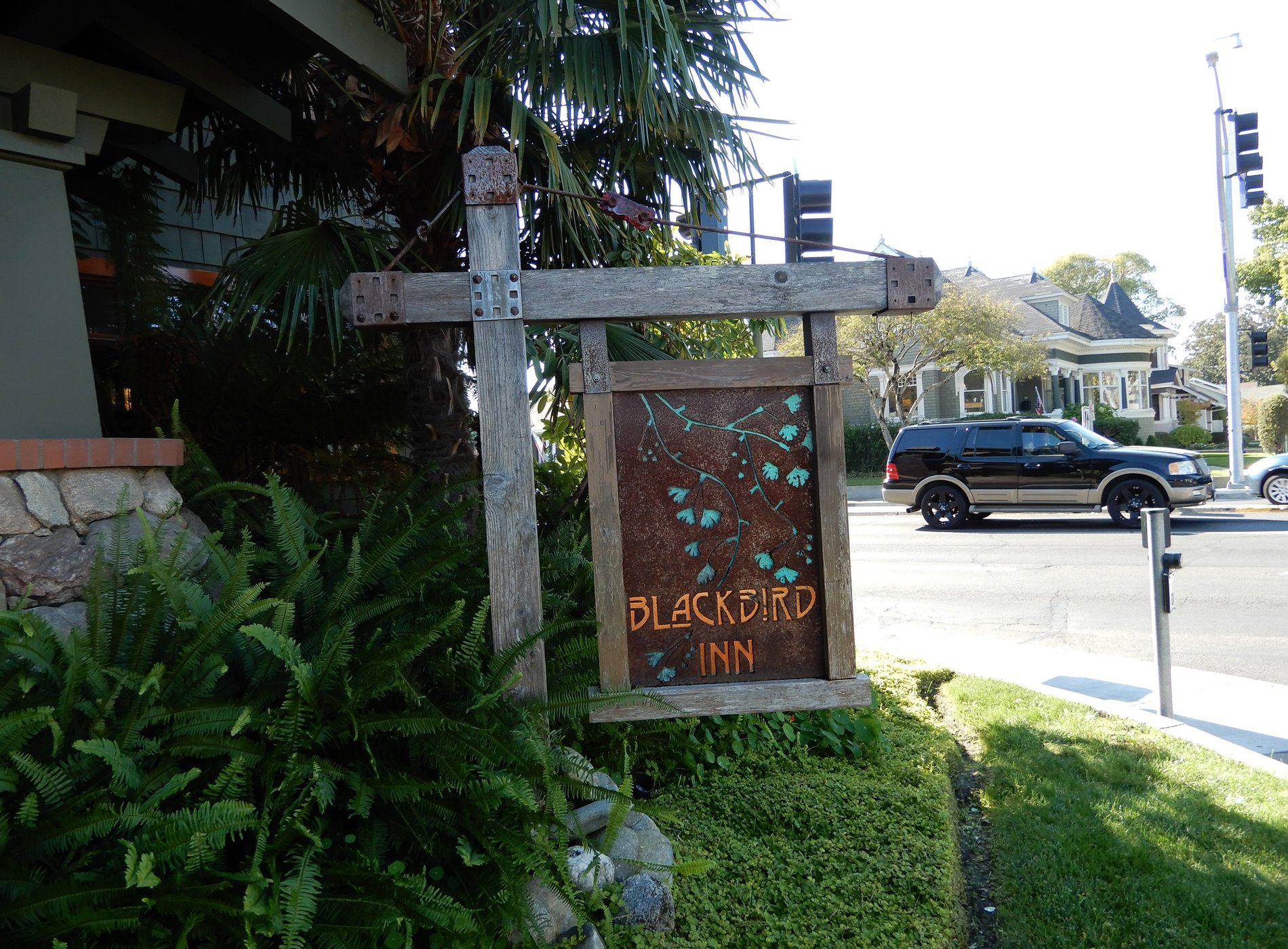 Blackbird Inn and Finch Guest House by null