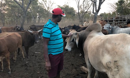 Farm Visit