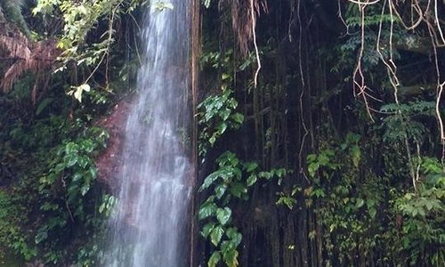 caunayan falls
brgy. L. Pimentel, san luis, aurora
