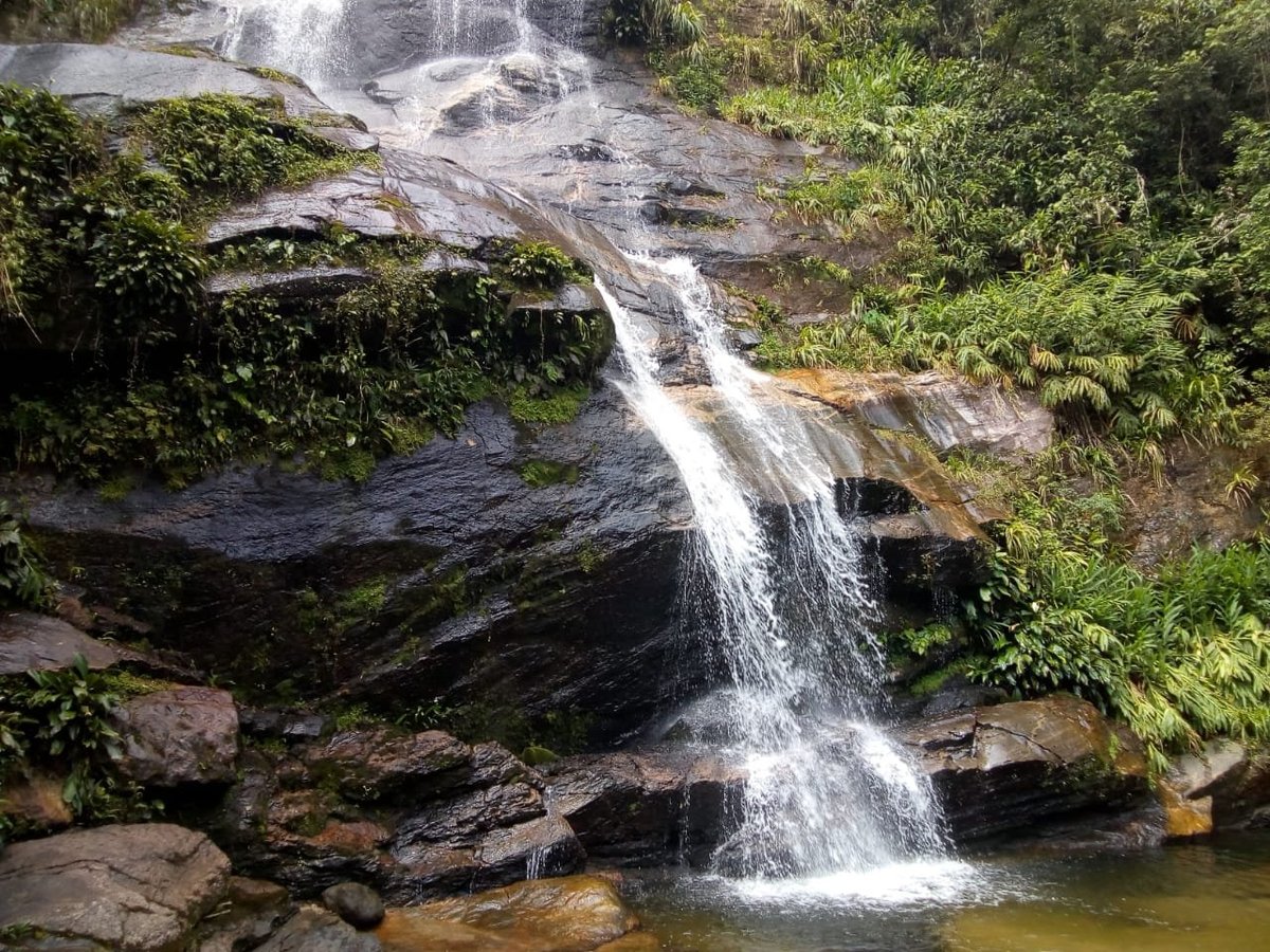 Floresta da Tijuca - All You Need to Know BEFORE You Go (2024)