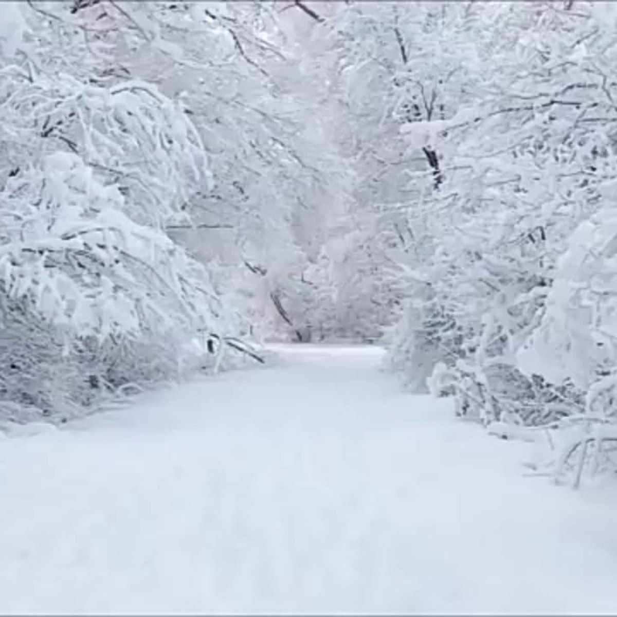 Снег видео