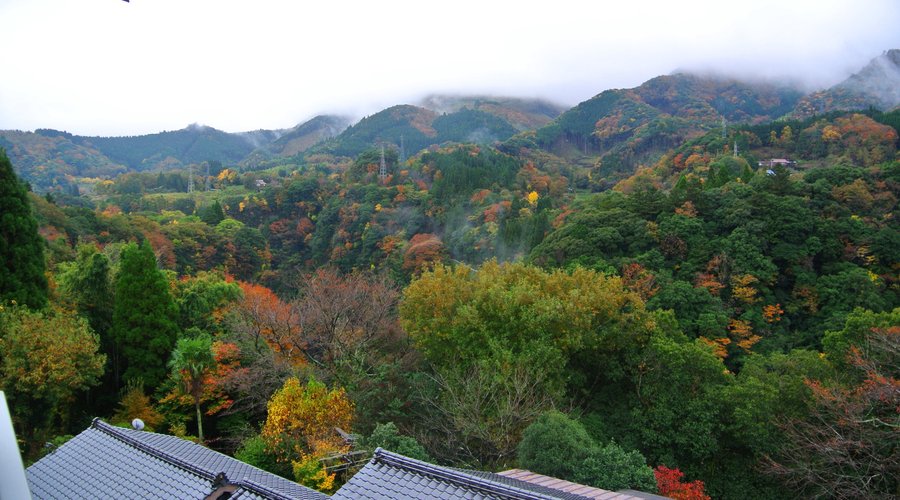秋の部屋からの眺め
A view from a room in Autumn