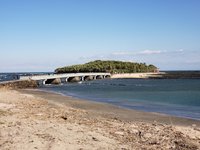 Aoshima island (Miyazaki Prefecture) - Let's travel around Japan!