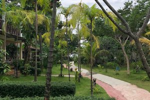 ห้องพักและห้องสวีท