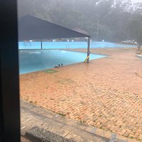 The ducks were enjoying the pool