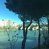 ninosenzgz