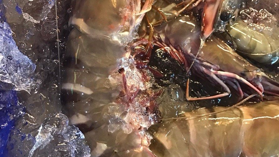 fresh prawn