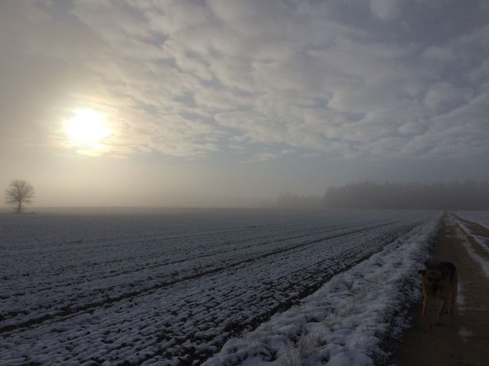 Podlaski Kurnik - Podlaski Kurnik