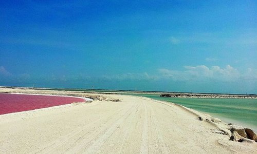 Rio Lagartos, Mexiko Tourismus in Rio Lagartos Tripadvisor