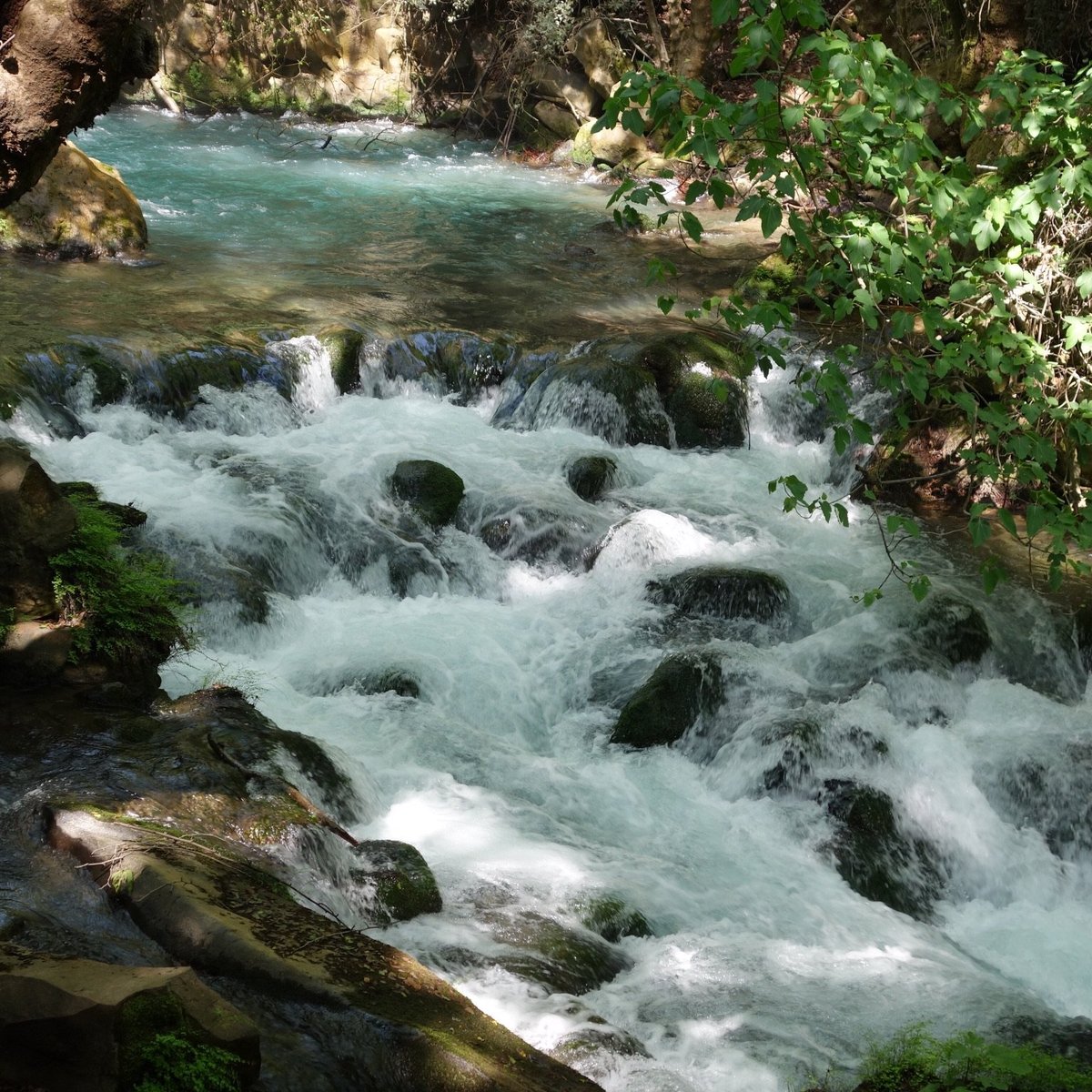 BANIAS NATURE RESERVE (2024) All You Need to Know BEFORE You Go (with ...