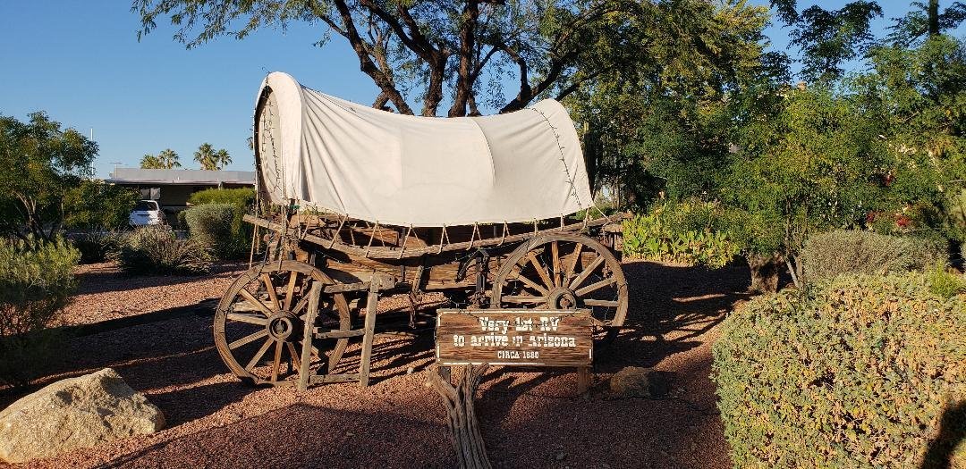 Arizona Sunflower Resort: Where Desert Dreams Bloom