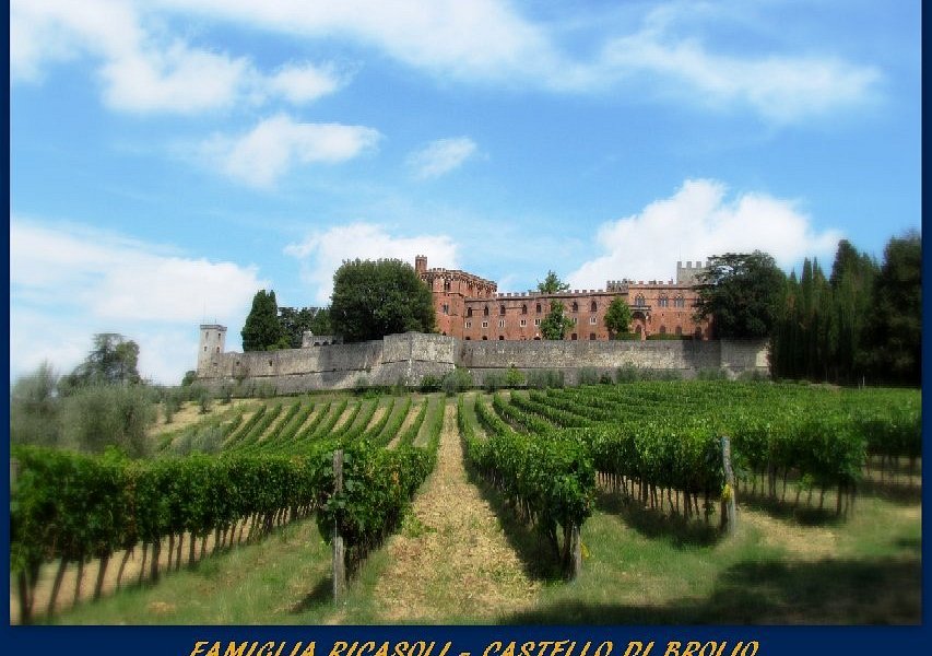 castello di brolio wine & tour