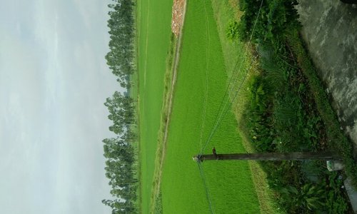Village in Vietnam. Peaceful-Simple-Specific Do you want to experience,to be the true the North of Vietnam villagers, especially during Tet?