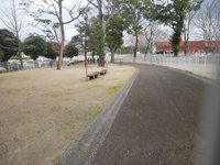 21年 別府市営ドッグラン 行く前に 見どころをチェック トリップアドバイザー