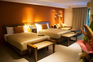 Chambre et suite