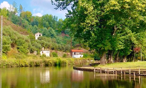 Ribeira da Sertã meanders through the town with pathways enabling scenic strolls.