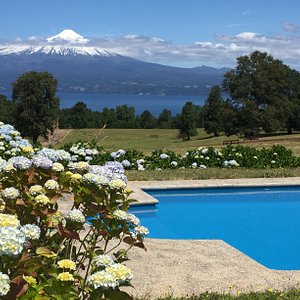 View of the pool and the landscape 