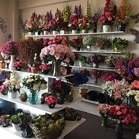 A Classy Touch Forbes Florist