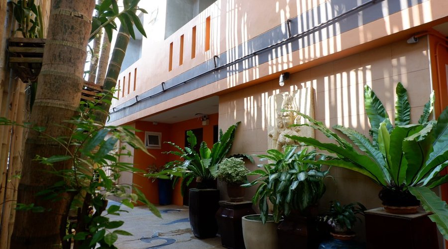 Tropical Garden