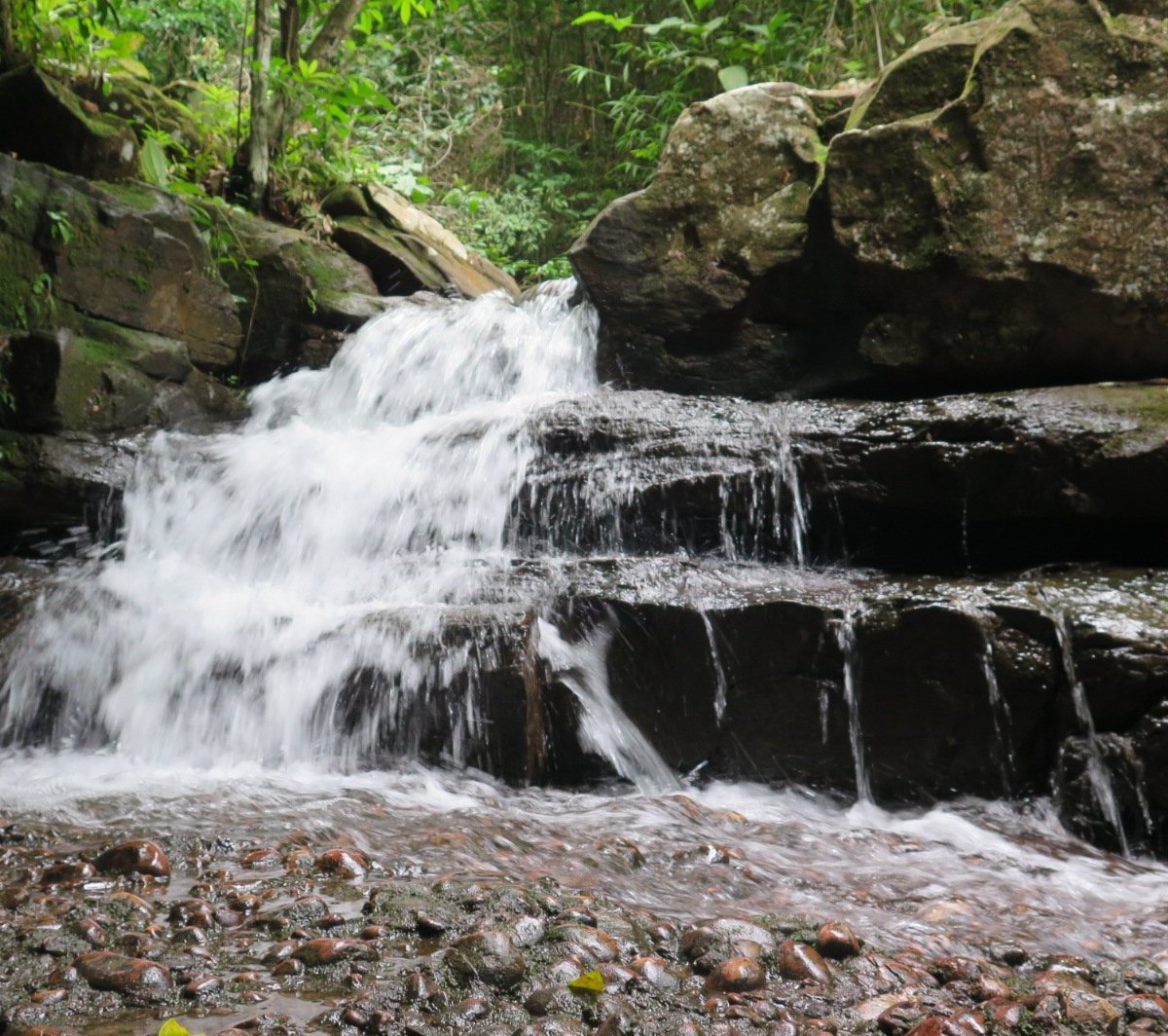 Cachoeira dos Parecis - Guajara-Mirim - Cachoeira dos Parecis의 리뷰 - 트립어드바이저