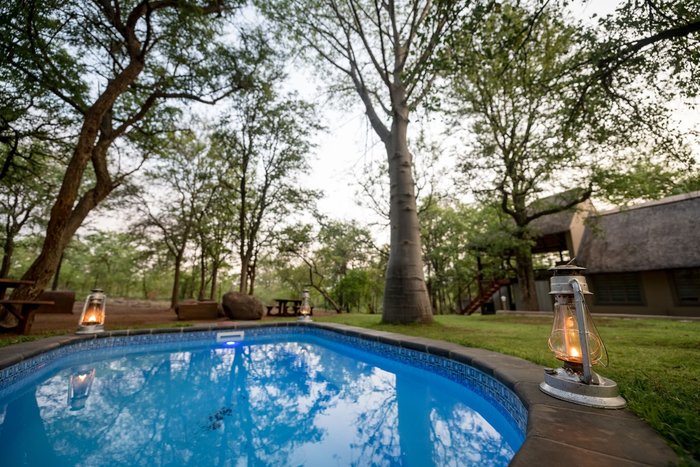 Kruger Bush Camp Pool Pictures & Reviews - Tripadvisor