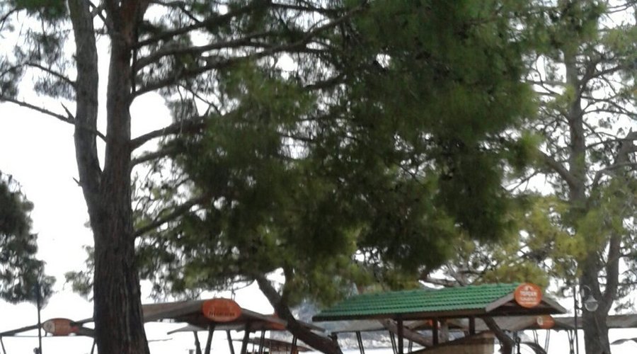 Güzel