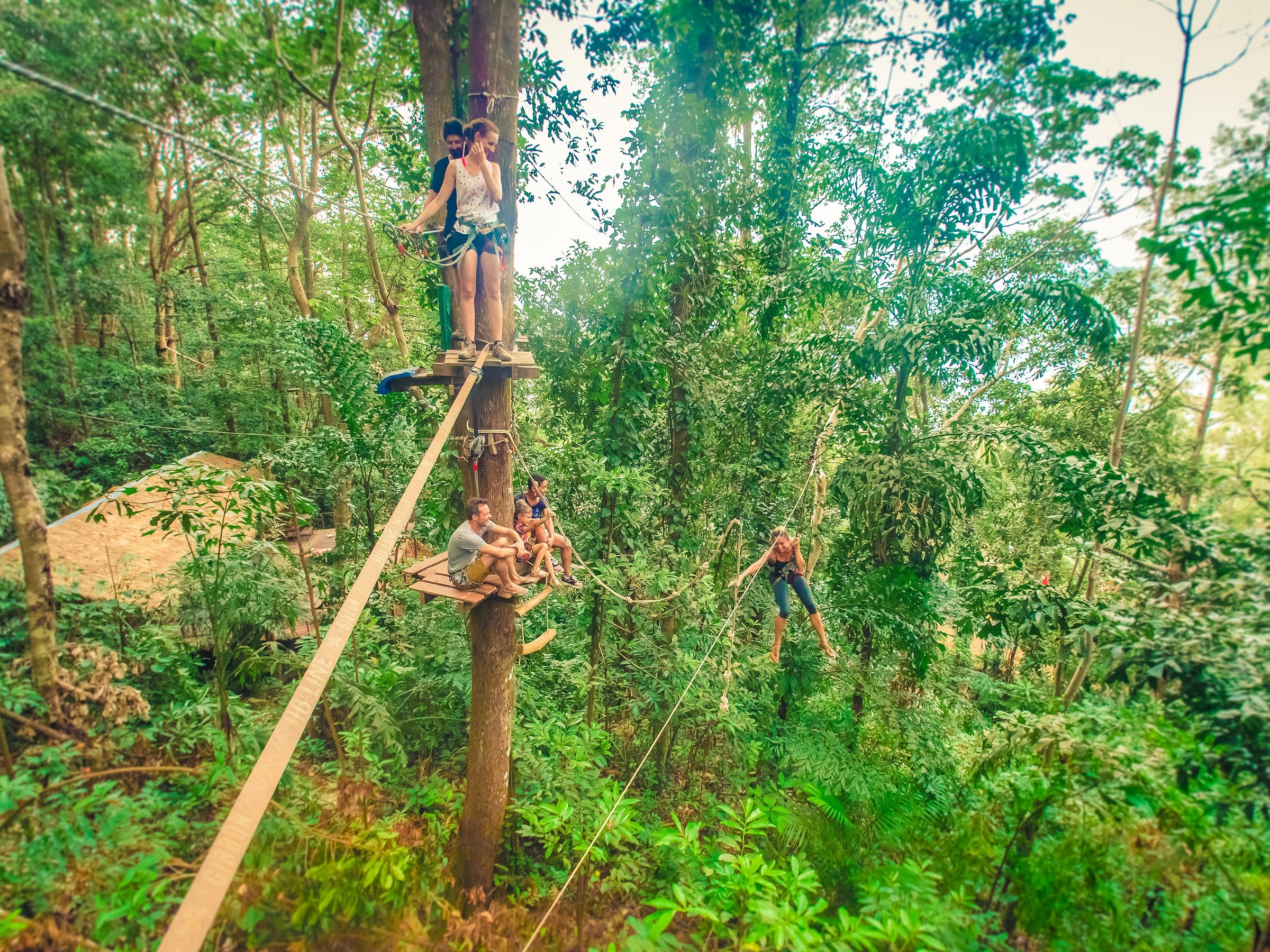 monkey swing tour im tree top adventure park