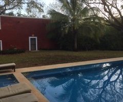 Backyard bungalow and pool.