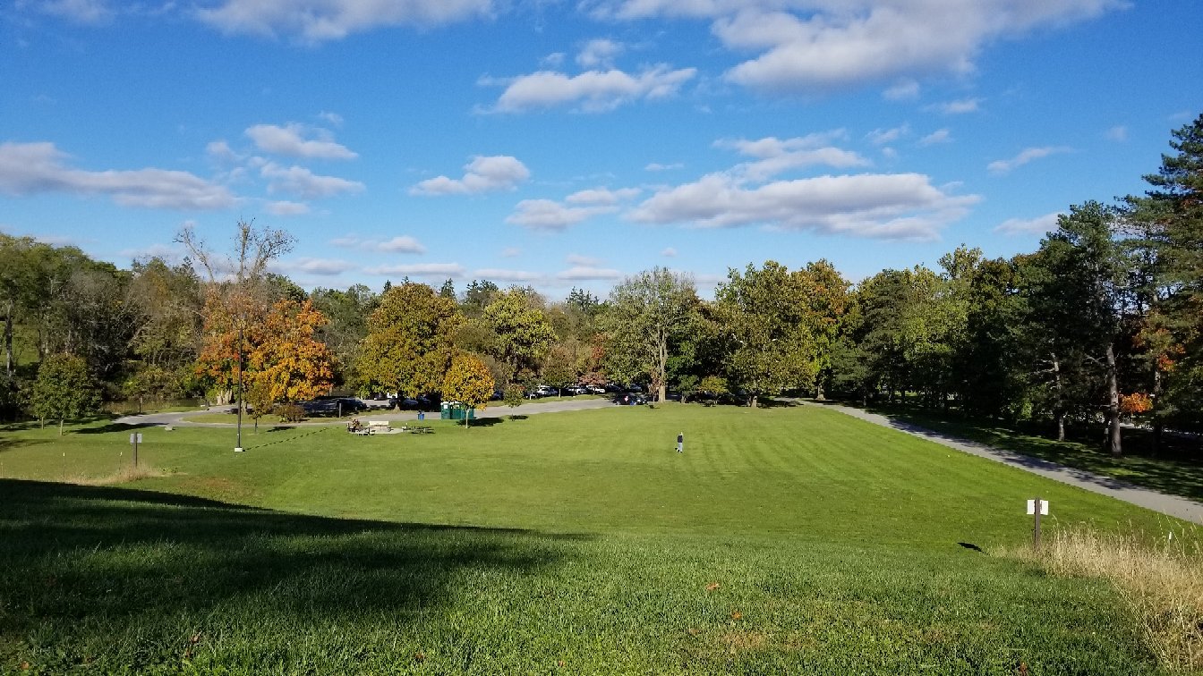 2022 Side Cut Metropark   20181021 162103 Largejpg 