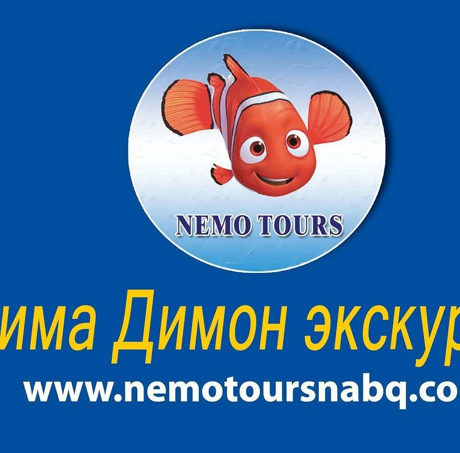 Nemo Tours Nabq, Шарм-эль-Шейх: лучшие советы перед посещением - Tripadvisor