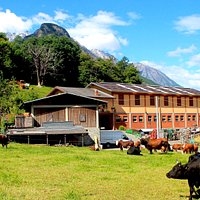 foto azienda