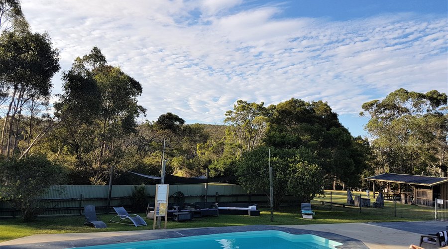 Summer afternoon by the pool