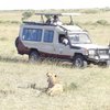 Odyssey-Safaris