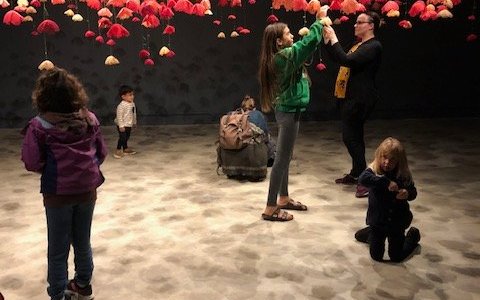Amanda McCavour "Poppies" at Gallery Stratford Summer 2018