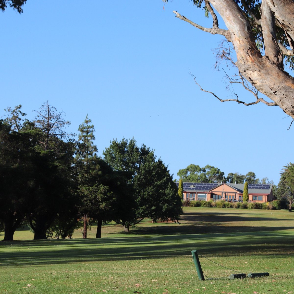 ARMIDALE GOLF CLUB : Ce qu'il faut savoir pour votre visite (avec ...