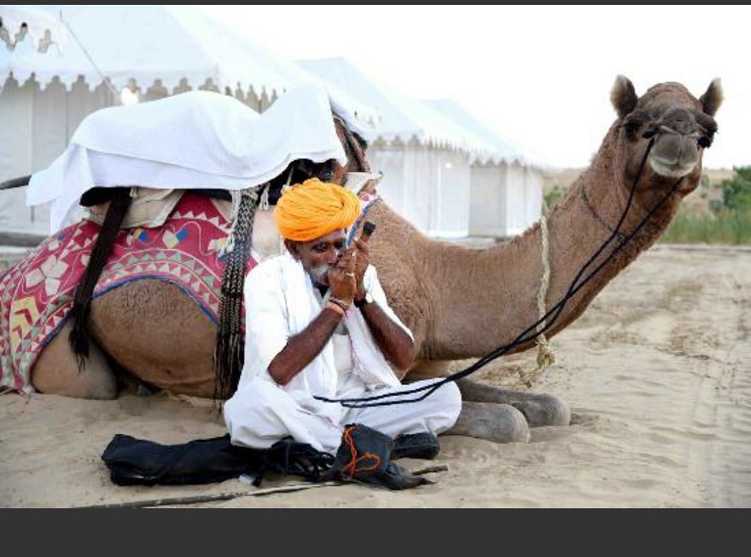 desert safari camp jodhpur