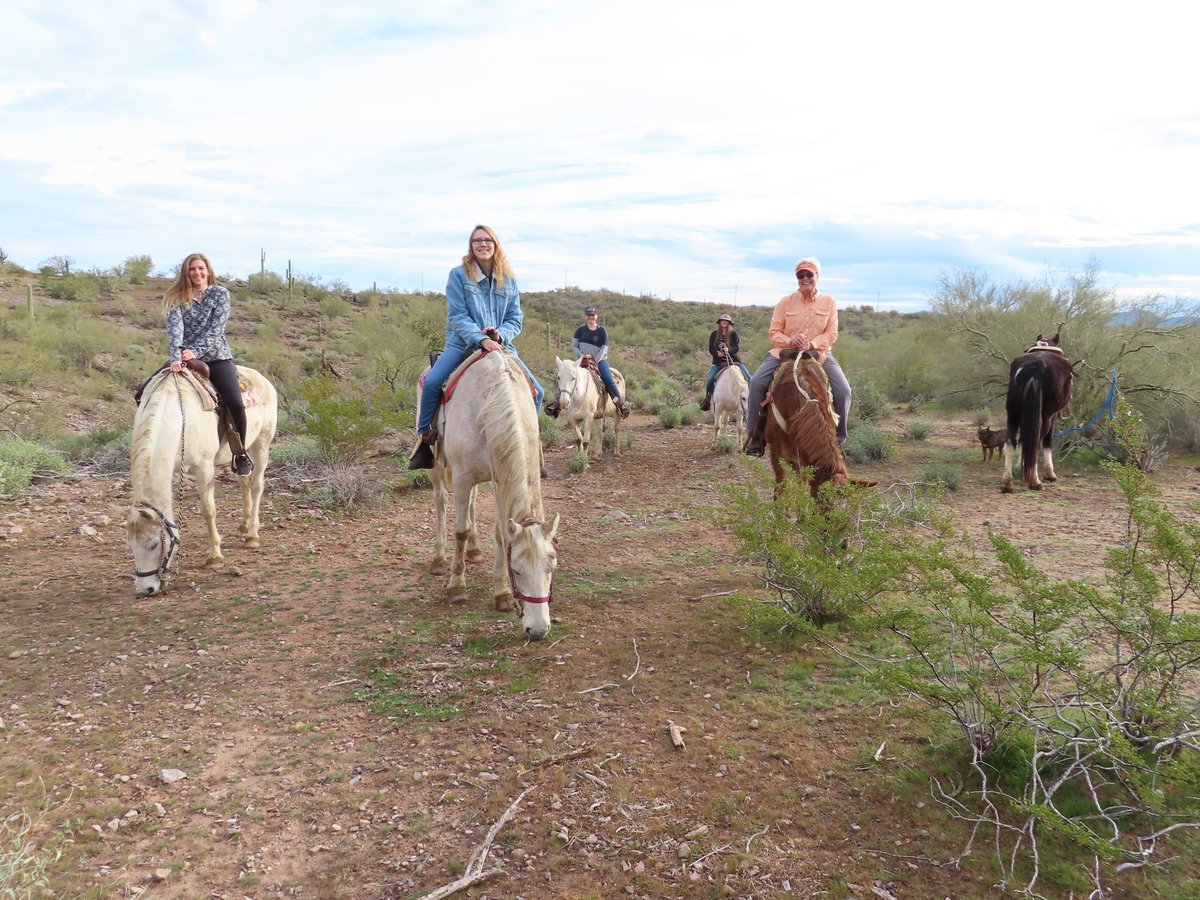 Betty's Trail Rides (Peoria) - All You Need to Know BEFORE You Go