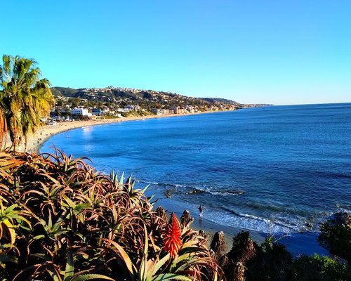 are dogs allowed at laguna beach ca