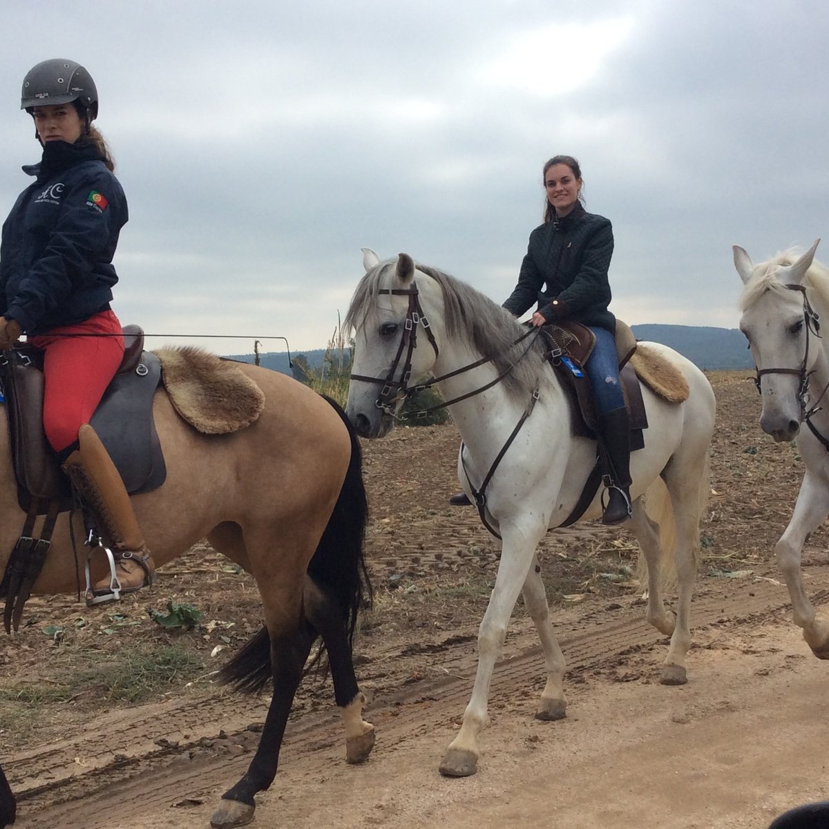 Feira da Golegã: Para quem gosta de Cavalos - LikedPlaces