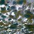 LBreviewer
