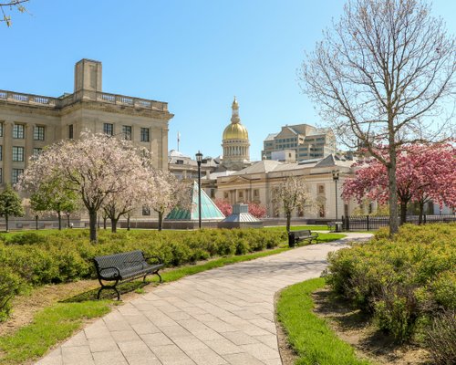 Best Things To Do in Trenton, New Jersey  