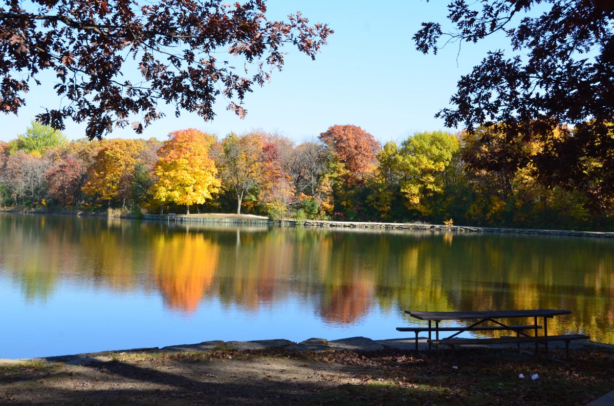 HERRICK LAKE FOREST PRESERVE (Wheaton) - What to Know BEFORE ...