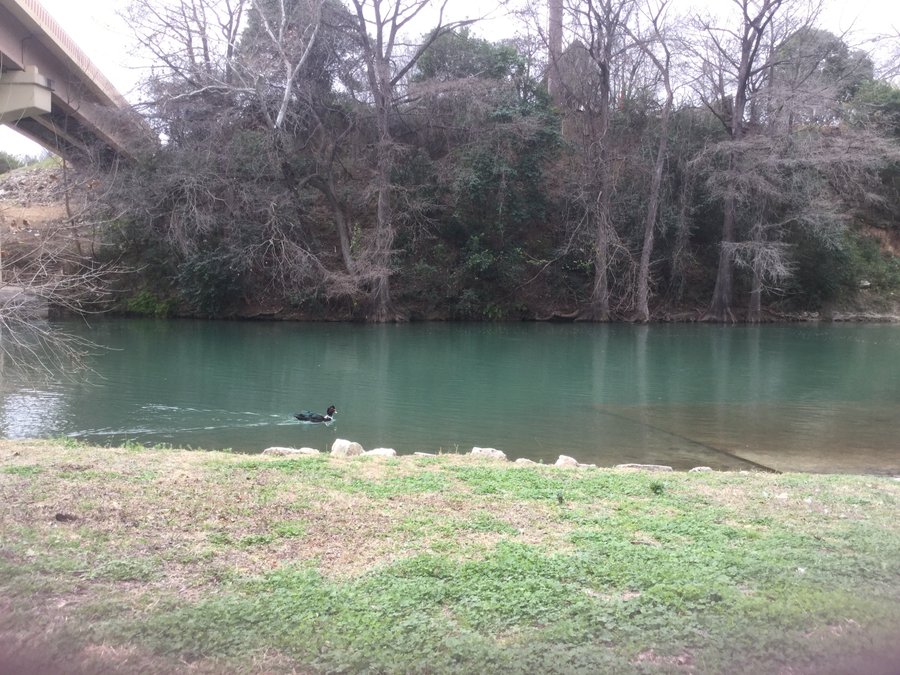 River Ranch Rv Resort Updated 2020 Campground Reviews New Braunfels Tx Tripadvisor