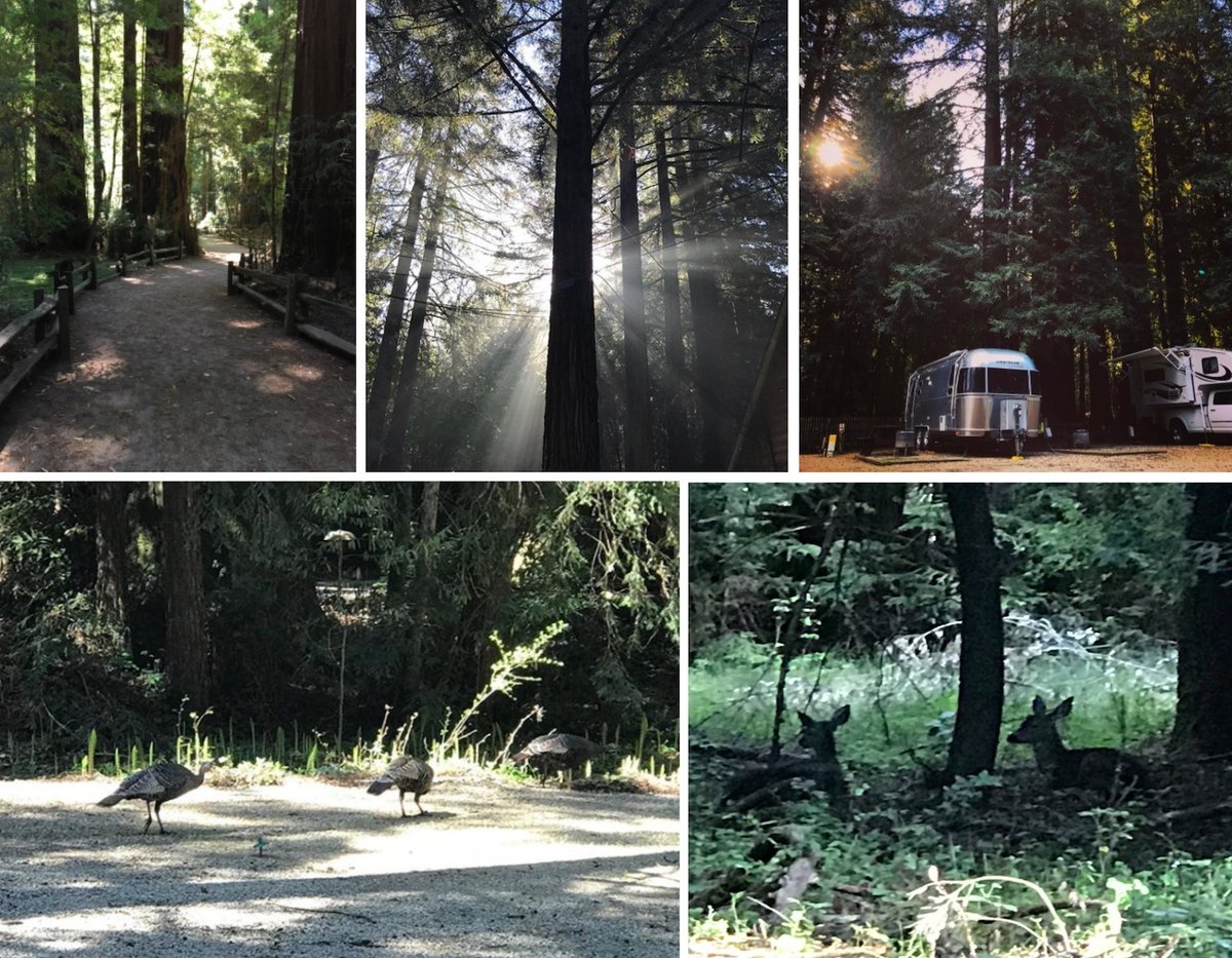 Escape to Paradise: Southern California Cotillion Gardens RV Park – Your Home Away From Home