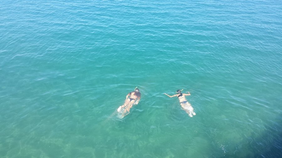 Tours al Ñuro paraíso de las tortugas