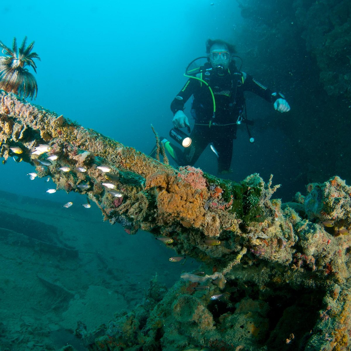 Easy Diving Coron (San Jose) All You Need to Know BEFORE You Go